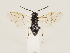  ( - ZMUO.033306)  @11 [ ] CreativeCommons - Attribution Non-Commercial (2018) Marko Mutanen University of Oulu
