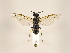  ( - ZMUO.033309)  @13 [ ] CreativeCommons - Attribution Non-Commercial (2018) Marko Mutanen University of Oulu