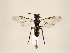 ( - ZMUO.033311)  @13 [ ] CreativeCommons - Attribution Non-Commercial (2018) Marko Mutanen University of Oulu