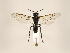  ( - ZMUO.033312)  @13 [ ] CreativeCommons - Attribution Non-Commercial (2018) Marko Mutanen University of Oulu