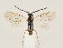  ( - ZMUO.033347)  @11 [ ] CreativeCommons - Attribution Non-Commercial (2018) Marko Mutanen University of Oulu