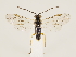  ( - ZMUO.033350)  @11 [ ] CreativeCommons - Attribution Non-Commercial (2018) Marko Mutanen University of Oulu