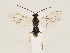  ( - ZMUO.033351)  @11 [ ] CreativeCommons - Attribution Non-Commercial (2018) Marko Mutanen University of Oulu