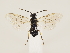  ( - ZMUO.033381.1)  @11 [ ] by-nc (2022) Marko Mutanen University of Oulu