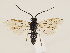  ( - ZMUO.033414)  @14 [ ] CreativeCommons - Attribution Non-Commercial (2018) Marko Mutanen University of Oulu