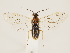  ( - ZMUO.033448)  @11 [ ] CreativeCommons - Attribution Non-Commercial (2018) Marko Mutanen University of Oulu
