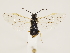  ( - ZMUO.033451)  @13 [ ] CreativeCommons - Attribution Non-Commercial (2018) Marko Mutanen University of Oulu