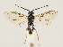  ( - ZMUO.033452)  @13 [ ] CreativeCommons - Attribution Non-Commercial (2018) Marko Mutanen University of Oulu