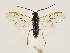  ( - ZMUO.033453.1)  @11 [ ] by-nc (2022) Marko Mutanen University of Oulu