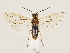  ( - ZMUO.033463)  @11 [ ] CreativeCommons - Attribution Non-Commercial (2018) Marko Mutanen University of Oulu