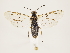  ( - ZMUO.033472)  @13 [ ] CreativeCommons - Attribution Non-Commercial (2018) Marko Mutanen University of Oulu