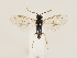  ( - ZMUO.033479)  @14 [ ] CreativeCommons - Attribution Non-Commercial (2018) Marko Mutanen University of Oulu