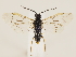  ( - ZMUO.033493)  @13 [ ] CreativeCommons - Attribution Non-Commercial (2018) Marko Mutanen University of Oulu