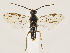  ( - ZMUO.033512)  @13 [ ] CreativeCommons - Attribution Non-Commercial (2018) Marko Mutanen University of Oulu