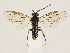  ( - ZMUO.033513)  @12 [ ] CreativeCommons - Attribution Non-Commercial (2018) Marko Mutanen University of Oulu
