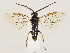  ( - ZMUO.033516)  @12 [ ] CreativeCommons - Attribution Non-Commercial (2018) Marko Mutanen University of Oulu