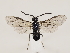  ( - ZMUO.033525)  @13 [ ] CreativeCommons - Attribution Non-Commercial (2018) Marko Mutanen University of Oulu