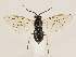  ( - ZMUO.033528)  @12 [ ] CreativeCommons - Attribution Non-Commercial (2018) Marko Mutanen University of Oulu