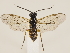  ( - ZMUO.033540)  @11 [ ] CreativeCommons - Attribution Non-Commercial (2018) Marko Mutanen University of Oulu