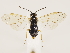  ( - ZMUO.033563)  @13 [ ] CreativeCommons - Attribution Non-Commercial (2018) Marko Mutanen University of Oulu