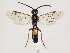  ( - ZMUO.033573)  @13 [ ] CreativeCommons - Attribution Non-Commercial (2018) Marko Mutanen University of Oulu