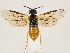  ( - ZMUO.033574)  @12 [ ] CreativeCommons - Attribution Non-Commercial (2018) Marko Mutanen University of Oulu