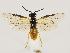  ( - ZMUO.033575)  @13 [ ] CreativeCommons - Attribution Non-Commercial (2018) Marko Mutanen University of Oulu