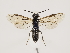  ( - ZMUO.033596)  @12 [ ] CreativeCommons - Attribution Non-Commercial (2018) Marko Mutanen University of Oulu