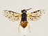  ( - ZMUO.033626)  @12 [ ] CreativeCommons - Attribution Non-Commercial (2018) Marko Mutanen University of Oulu