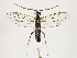  ( - ZMUO.033644)  @12 [ ] CreativeCommons - Attribution Non-Commercial (2018) Marko Mutanen University of Oulu