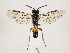  ( - ZMUO.033646)  @14 [ ] CreativeCommons - Attribution Non-Commercial (2018) Marko Mutanen University of Oulu