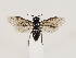 ( - ZMUO.033669)  @13 [ ] CreativeCommons - Attribution Non-Commercial (2018) Marko Mutanen University of Oulu