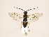  ( - ZMUO.033683)  @13 [ ] CreativeCommons - Attribution Non-Commercial (2018) Marko Mutanen University of Oulu