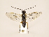  ( - ZMUO.033684)  @11 [ ] CreativeCommons - Attribution Non-Commercial (2018) Marko Mutanen University of Oulu