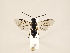  ( - ZMUO.033687)  @13 [ ] CreativeCommons - Attribution Non-Commercial (2018) Marko Mutanen University of Oulu