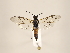  ( - ZMUO.033722)  @13 [ ] CreativeCommons - Attribution Non-Commercial (2018) Marko Mutanen University of Oulu