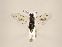  ( - ZMUO.033746)  @12 [ ] CreativeCommons - Attribution Non-Commercial (2018) Marko Mutanen University of Oulu