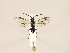  ( - ZMUO.033755)  @12 [ ] CreativeCommons - Attribution Non-Commercial (2018) Marko Mutanen University of Oulu