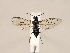  ( - ZMUO.033762)  @11 [ ] CreativeCommons - Attribution Non-Commercial (2018) Marko Mutanen University of Oulu