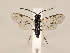  ( - ZMUO.033767)  @13 [ ] CreativeCommons - Attribution Non-Commercial (2018) Marko Mutanen University of Oulu
