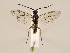  ( - ZMUO.033781)  @11 [ ] CreativeCommons - Attribution Non-Commercial (2018) Marko Mutanen University of Oulu
