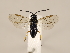  ( - ZMUO.033789)  @11 [ ] CreativeCommons - Attribution Non-Commercial (2018) Marko Mutanen University of Oulu