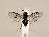  ( - ZMUO.033822)  @13 [ ] CreativeCommons - Attribution Non-Commercial (2018) Marko Mutanen University of Oulu
