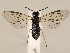  ( - ZMUO.033864)  @12 [ ] CreativeCommons - Attribution Non-Commercial (2018) Marko Mutanen University of Oulu