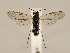  ( - ZMUO.033872)  @13 [ ] CreativeCommons - Attribution Non-Commercial (2018) Marko Mutanen University of Oulu