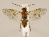  ( - ZMUO.033877)  @12 [ ] CreativeCommons - Attribution Non-Commercial (2018) Marko Mutanen University of Oulu