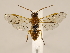 ( - ZMUO.033878)  @12 [ ] CreativeCommons - Attribution Non-Commercial (2018) Marko Mutanen University of Oulu