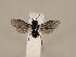  ( - ZMUO.033886)  @13 [ ] CreativeCommons - Attribution Non-Commercial (2018) Marko Mutanen University of Oulu