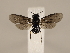  ( - ZMUO.033888)  @12 [ ] CreativeCommons - Attribution Non-Commercial (2018) Marko Mutanen University of Oulu