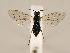  ( - ZMUO.033928)  @11 [ ] CreativeCommons - Attribution Non-Commercial (2018) Marko Mutanen University of Oulu